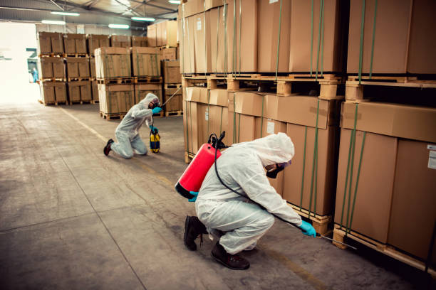 Best Pest Removal Services  in Arthurdale, WV