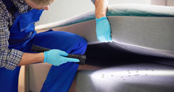Pest Prevention Services in Arthurdale, WV