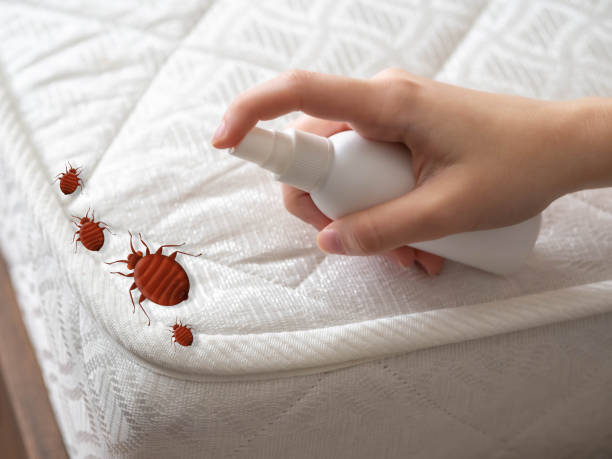 Best Emergency Pest Control  in Arthurdale, WV
