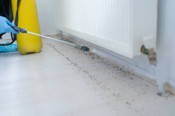 Best Exterminator Services  in Arthurdale, WV